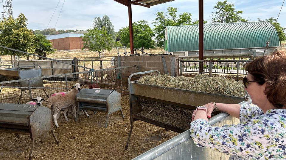 A EA de Vallfogona de Balaguer, referência em formação pecuária e gênero