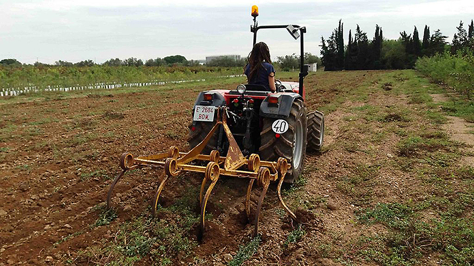 As Escolas Agrícolas vão expandir os serviços para além do ensino tradicional