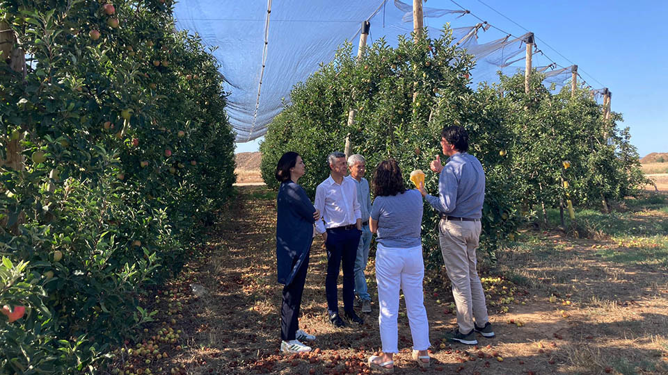 Nufri promove reconversão varietal de árvores de fruto resistentes à seca