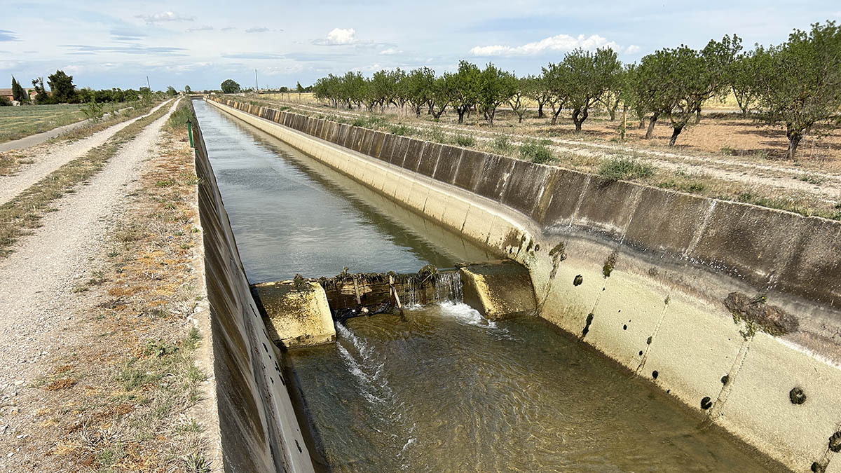 Canals d’Urgell concorda em atribuir o quarto HIDRO aos irrigadores