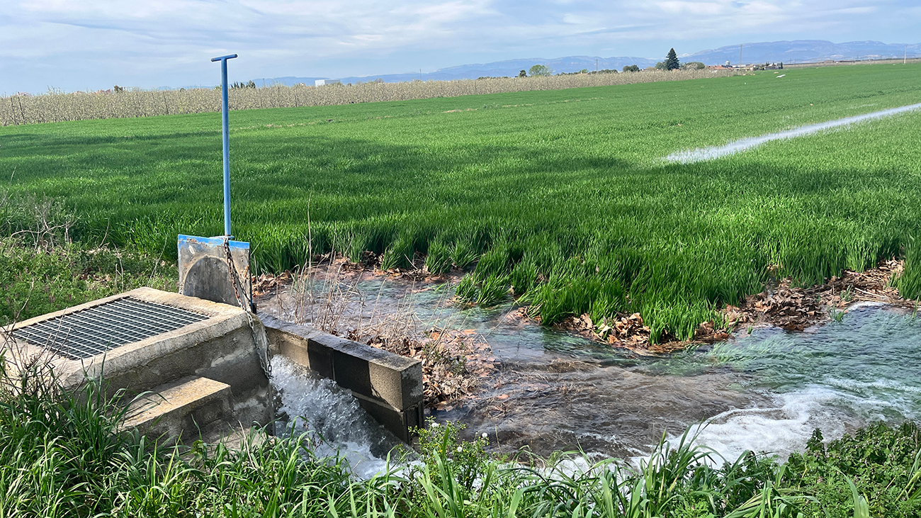 A Comunidade de Irrigação do Canal d’Urgell reivindica o bom funcionamento das hidroelétricas